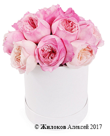 ����� ������� ����� � ������� �������