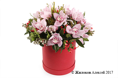 ����� � ��������� �������� ���� � ������� �������