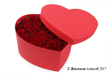 ����� ���� ��������� � ������� ������� ������