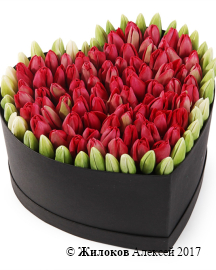 ���������� �������� ����������� � ������� ������� ������ (�����), �������