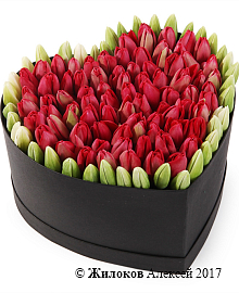 ���������� �������� ����������� � ������� ������� ������ (�����), �������