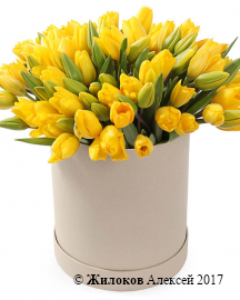 Букет 101 тюльпан в шляпной коробке, желтые