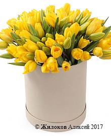 ����� 101 ������� � ������� �������, ������