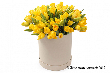 Букет 101 тюльпан в шляпной коробке, желтые