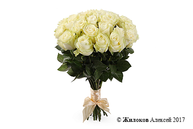 ����� 25 ��� ��������