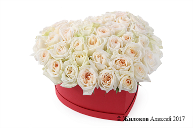 ����� ������ ����� � ������� ������� ������