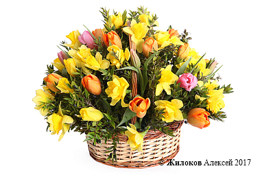 ����� � ���������� ������� ������� � �������