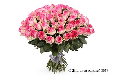 ����� 101 ���� ������