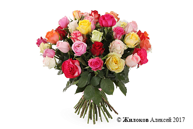 ����� ����������� ������� (51 ����)