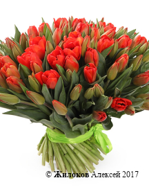 ����� 101 ����������� �������, ������-���������