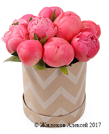 ����� 11 ���������� ������ � ������� �������