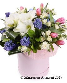 ����� �������� ��� � ������� �������