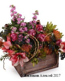 ���������� ��� � �����