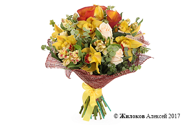 ����� ������� �����