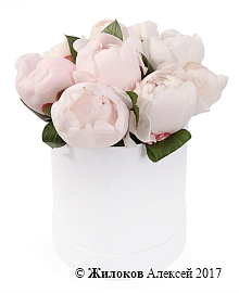 ����� 9 ������ � ������� �������