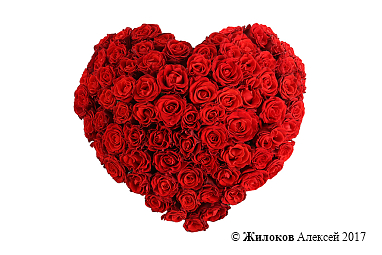 ���������� ��������� ���������