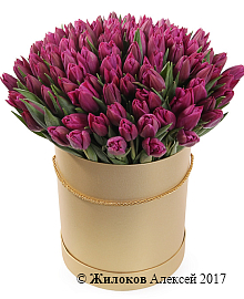 ����� 101 ����������� ������� � ���������� ������� �������, ���������