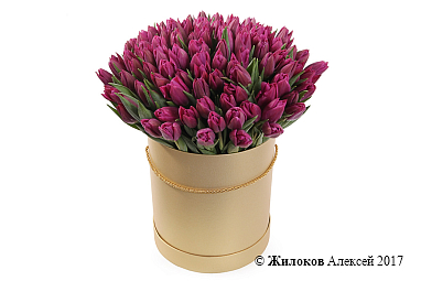 ����� 101 ����������� ������� � ���������� ������� �������, ���������