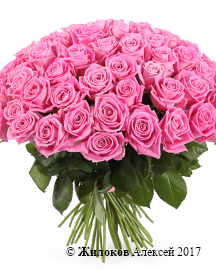 ����� 71 ���� ����