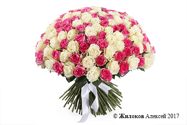 ����� �� � � (201 ����)