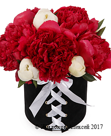 ����� �� ������ ������� � ������ ������� �������