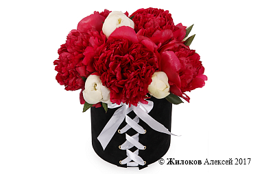 ����� �� ������ ������� � ������ ������� �������