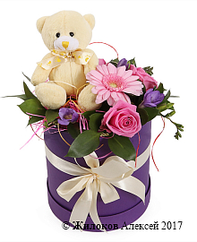 ����� ������ �������� � ������� �������