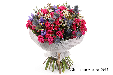 ����� ������ � �������