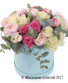 ����� ������ � ������� �������