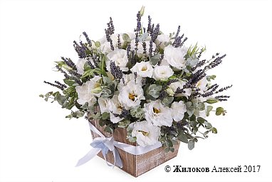 ���������� ����� ����� � �����