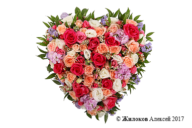 ����� ����� ������