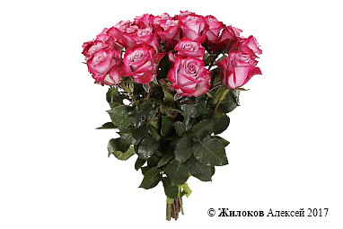 ����� 19 ��� ��� �����