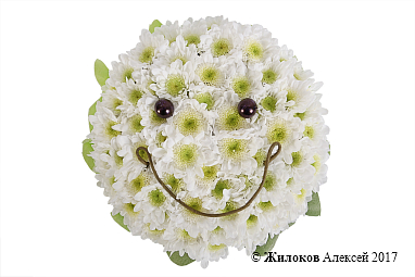 ���������� �����