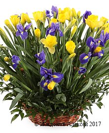 ����� � ���������� ���� ������ � �������