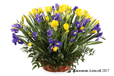 ����� � ���������� ���� ������ � �������