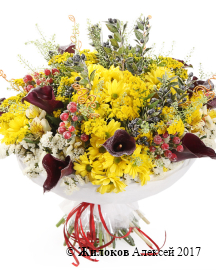 ����� � ������������ �������� ����������