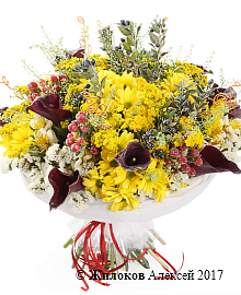 ����� � ������������ �������� ����������