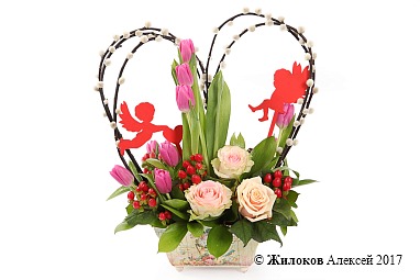 ����� ���� � �������