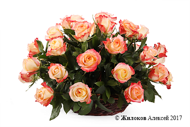 ����� 35 ��� ������ � �������