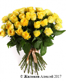 ����� 51 ���� �����