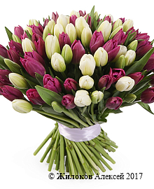 ����� 101 ����������� �������, ����-��������� ����