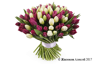 ����� 101 ����������� �������, ����-��������� ����