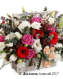 ���������� � �������� ������� �������