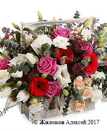 ���������� � �������� ������� �������