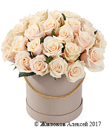 ����� 35 ��� ����� � ������� �������