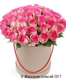 ����� 51 ���� ������ � ������� �������