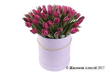 ����� 51 ����������� ������� � ������� ������� �������, ���������