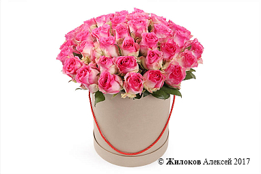 ����� 51 ���� ������ � ������� �������