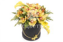 ����� ���� ����� � ������� �������