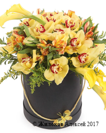 ����� ���� ����� � ������� �������